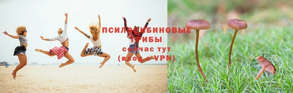 соль курить ск Новозыбков