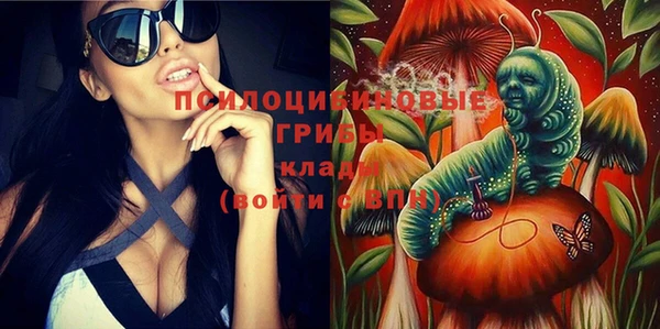 соль курить ск Новозыбков