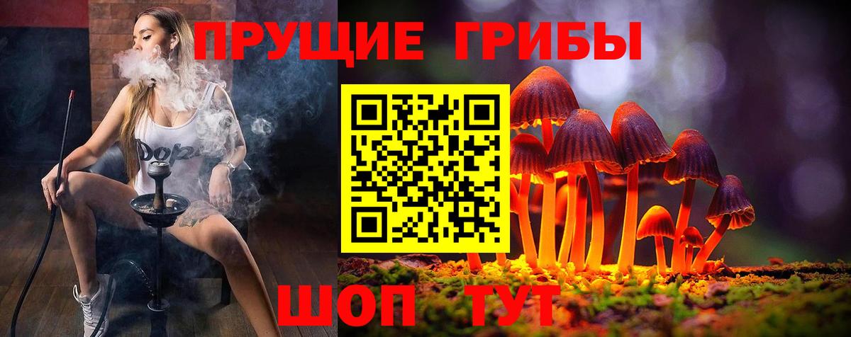 Псилоцибиновые грибы Magic Shrooms  Галлюциногенные грибы Psilocybine cubensis  Острогожск  Вход с VPN 