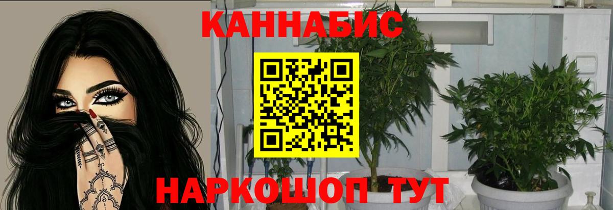 Бошки марихуана тримм Острогожск